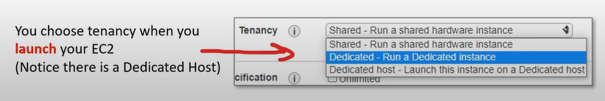 Dedicated Instances