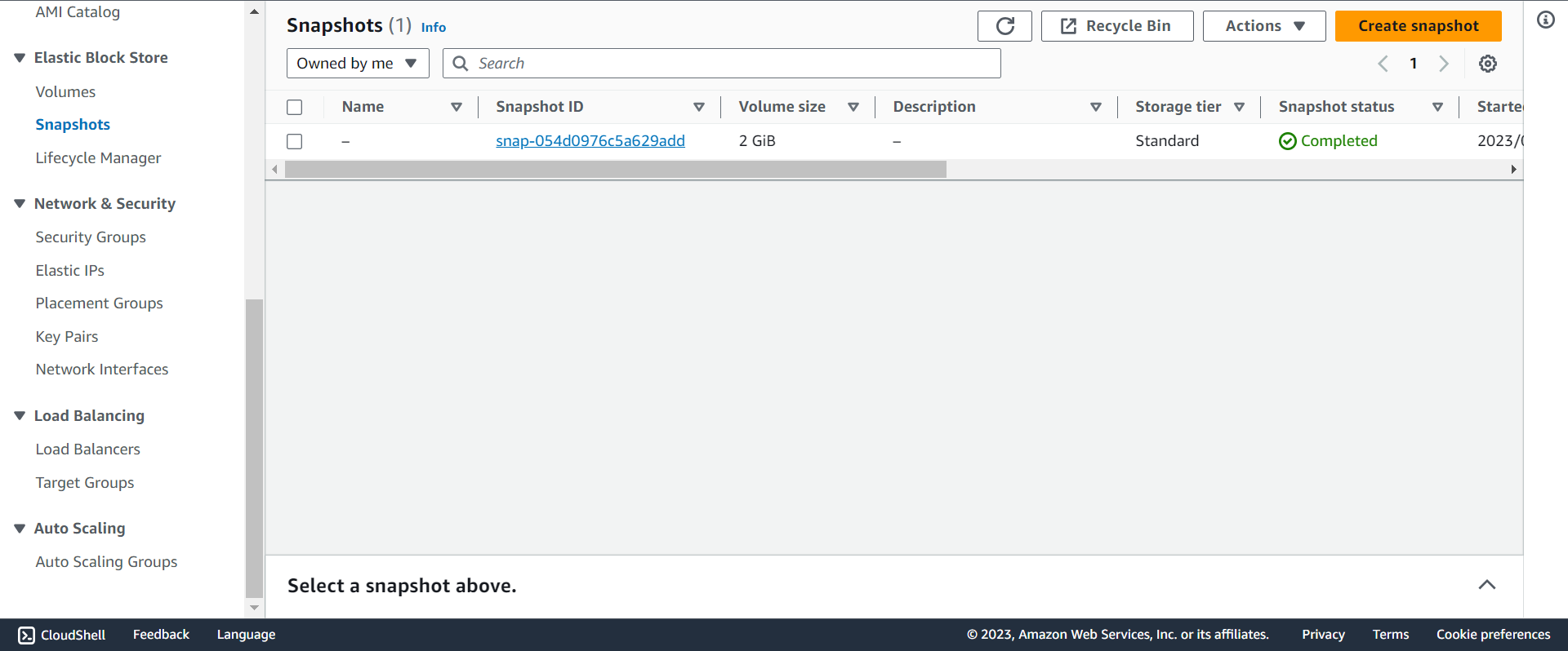 ebs_snapshot_list