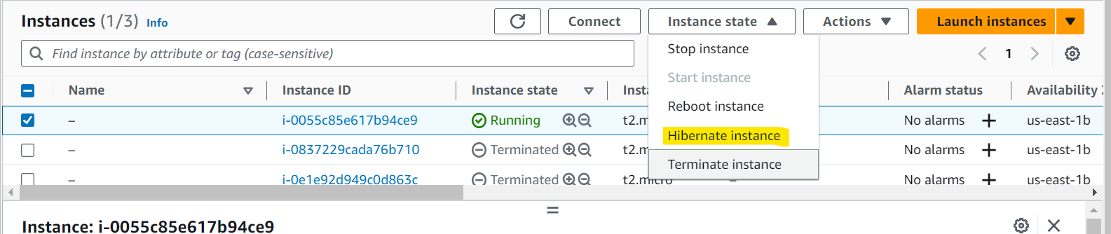 hiberante_instance