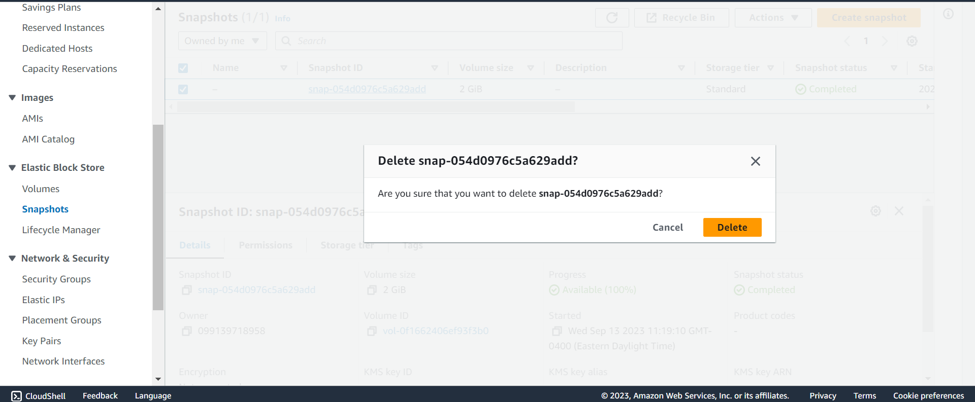 recycle_bin_delete_snapshot