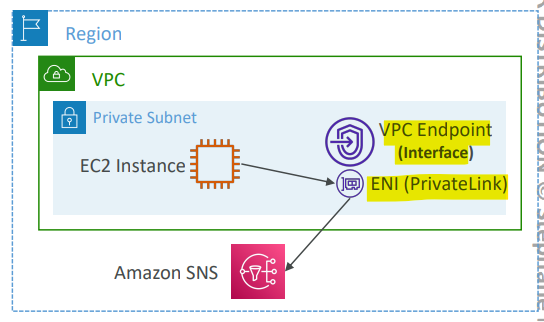 vpc_endpoint_interface_endpoints