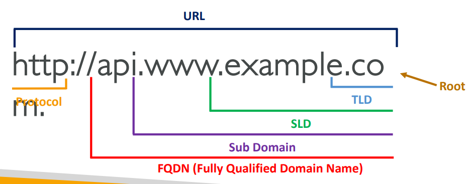 dns_url