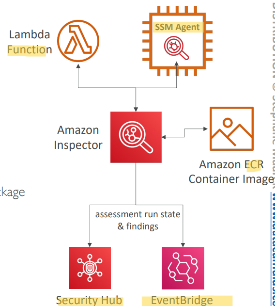 inspector_diagram