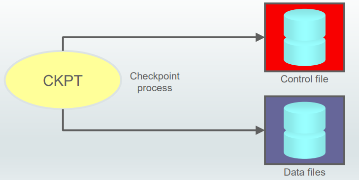 process_ckpt_diagram