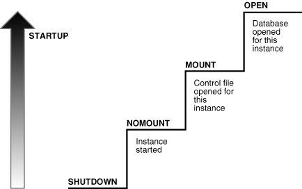 startup