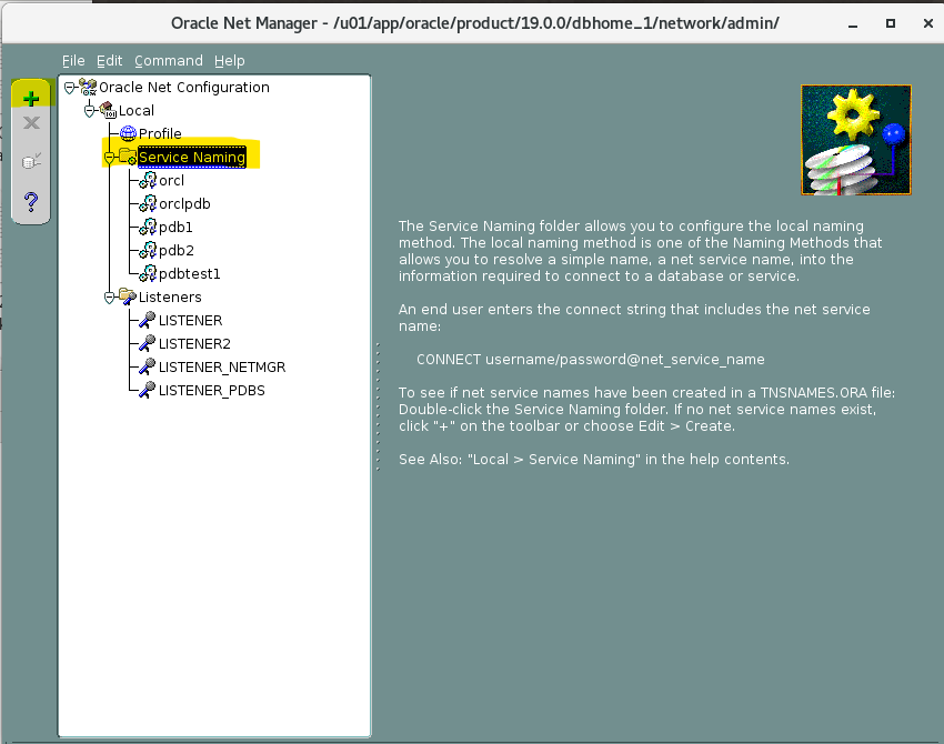 lab_netmgr_tnsname_create