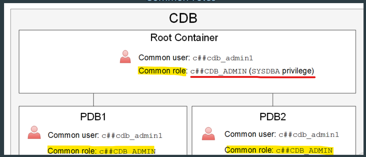 lab_common_role_diagram