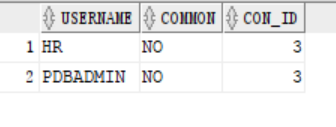 lab_local_user01.png
