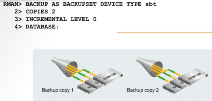 duplexed_backup