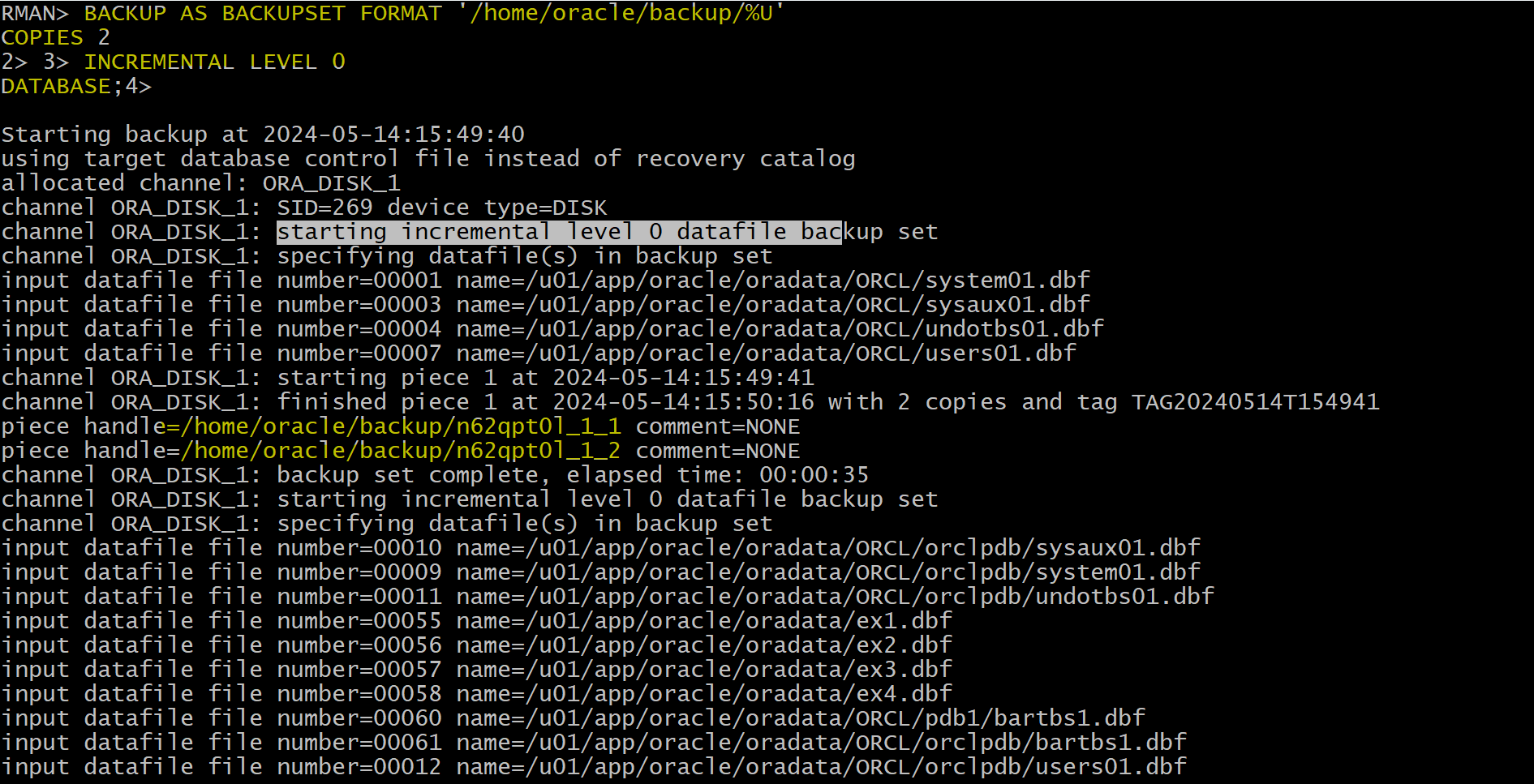 lab_duplexed_backup