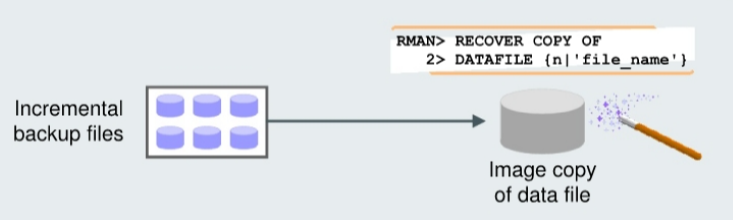 incrementally_updated_backups