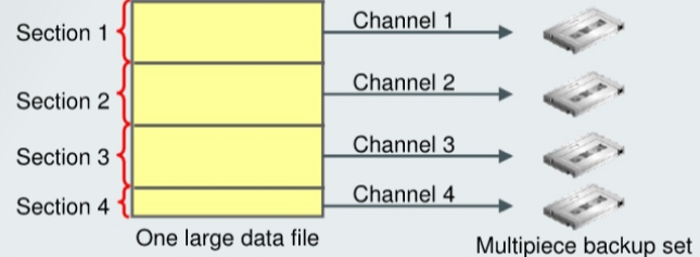 backup_multisection