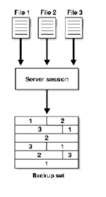 diagram_multiplexing