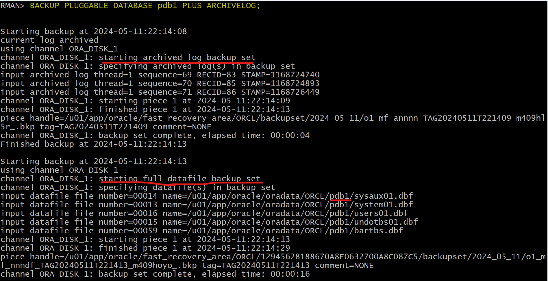 lab_pdb_backup