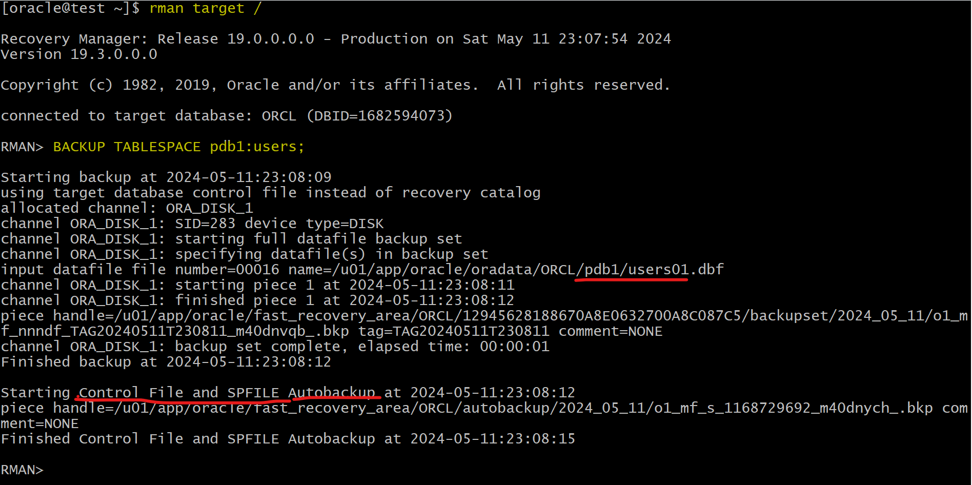 lab_tbsp_backup