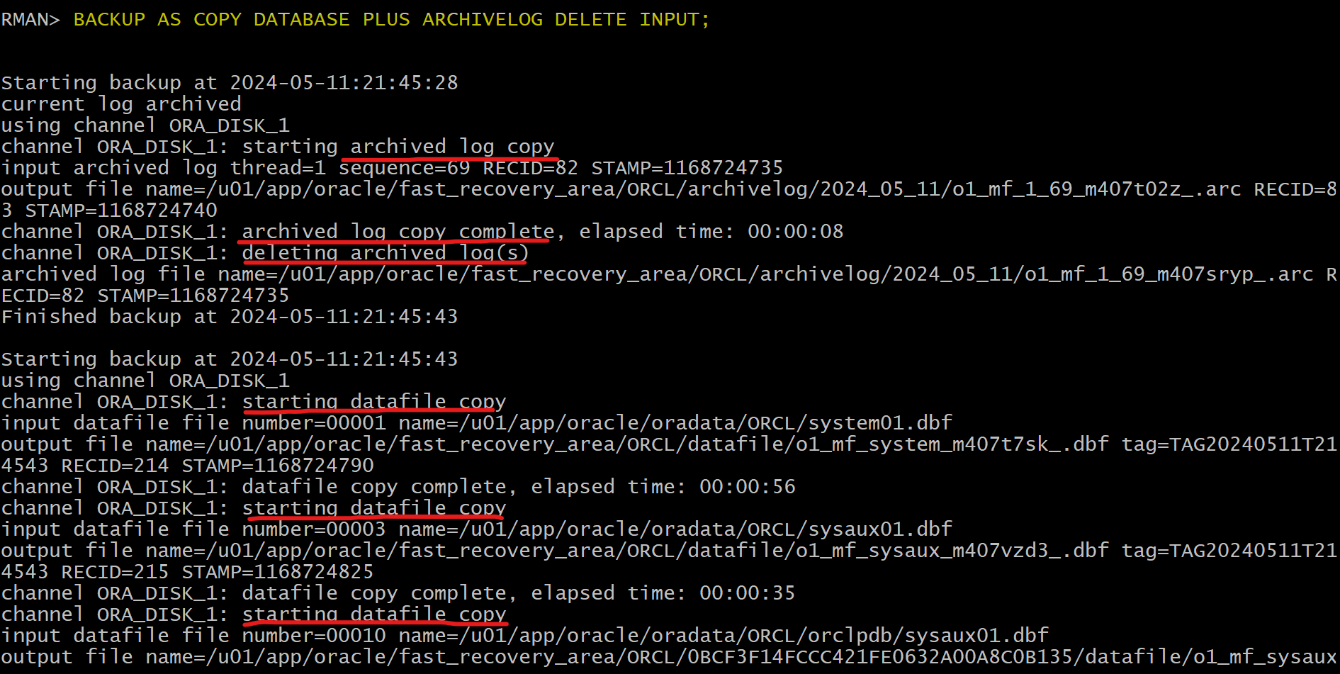 lab_whole_backup