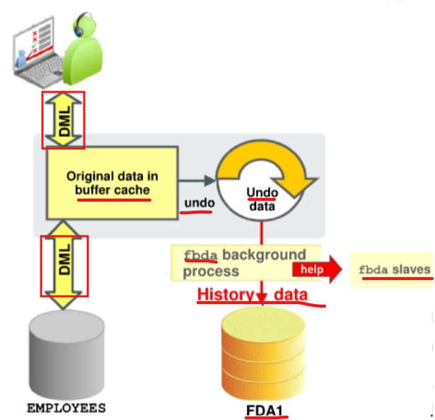 diagram_fda