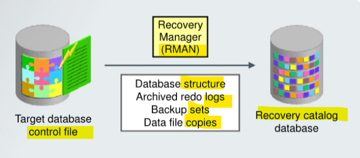 diagram_recovery_catalog01