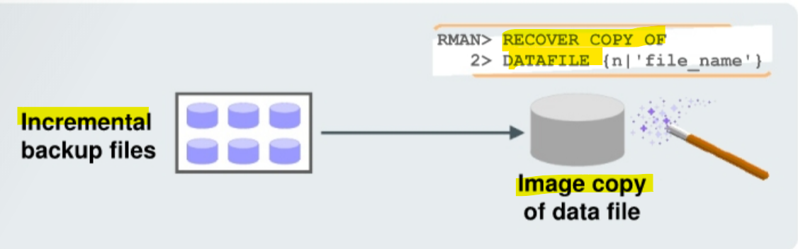 diagram_copy_increment01