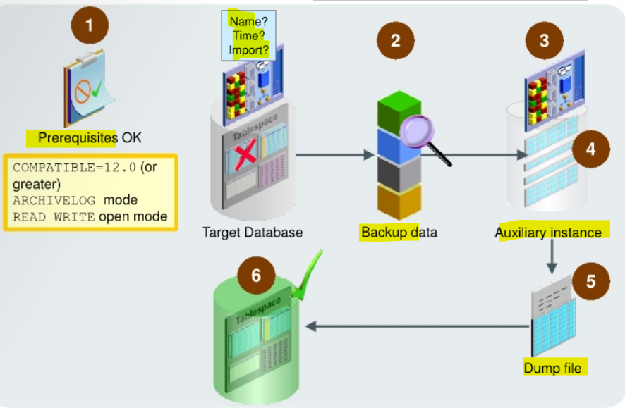 diagram_tpitr01