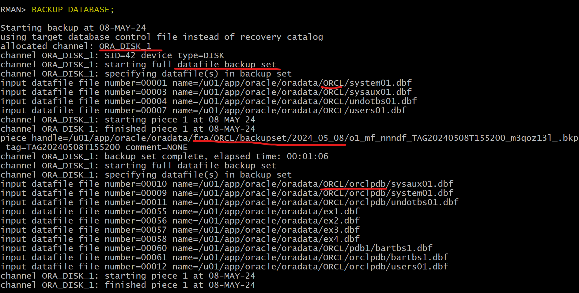 lab_rman_backup