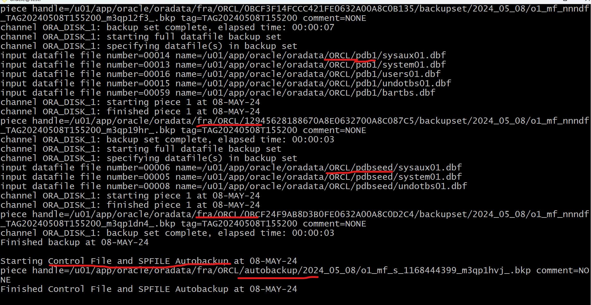 lab_rman_backup