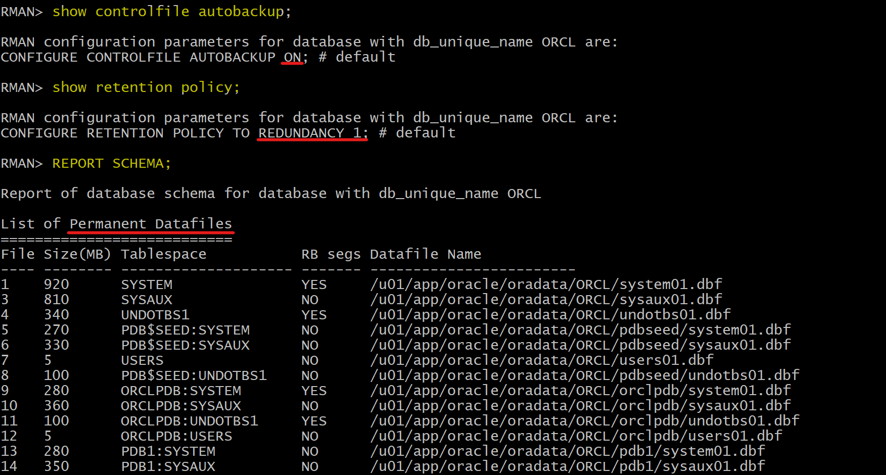 lab_rman_backup
