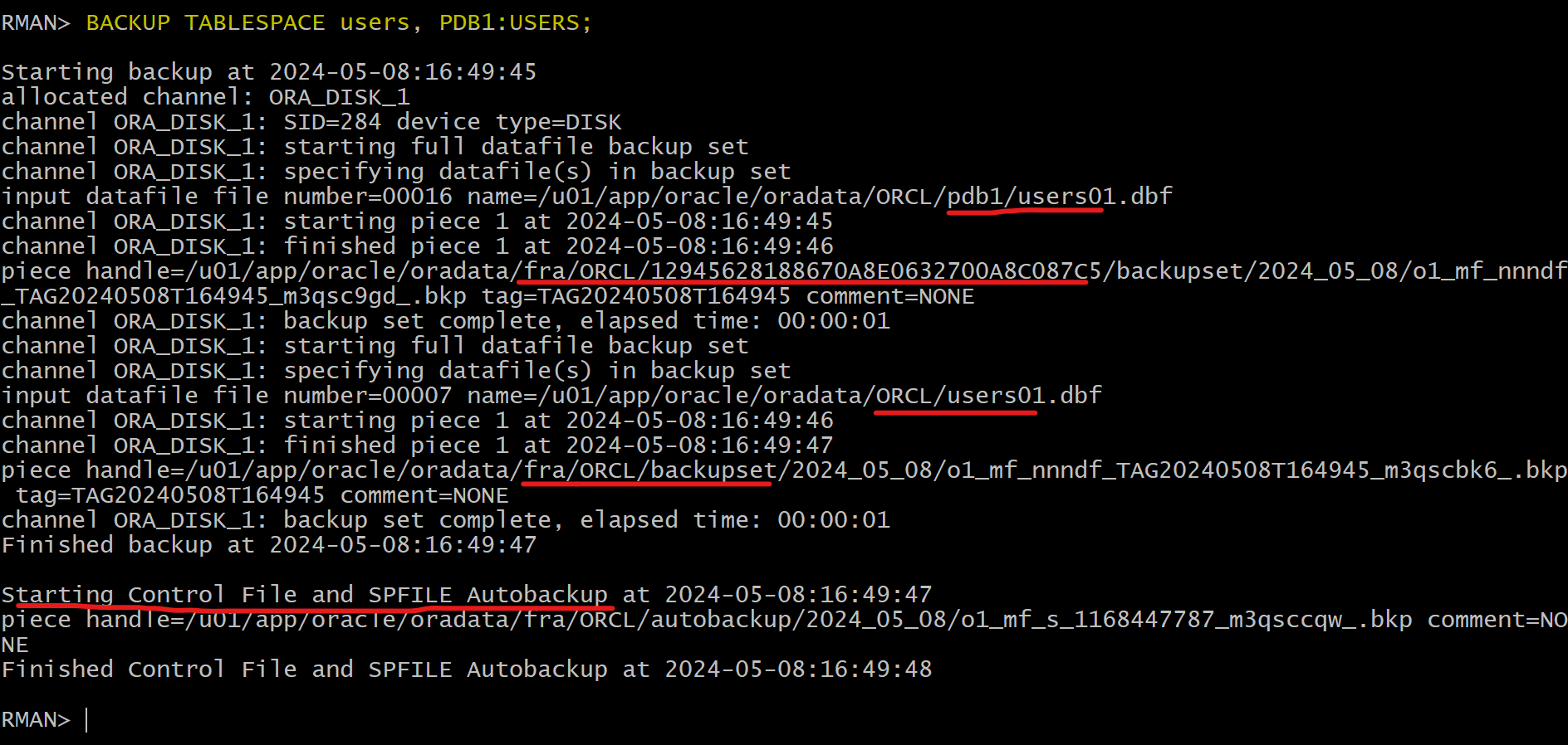 lab_rman_backup