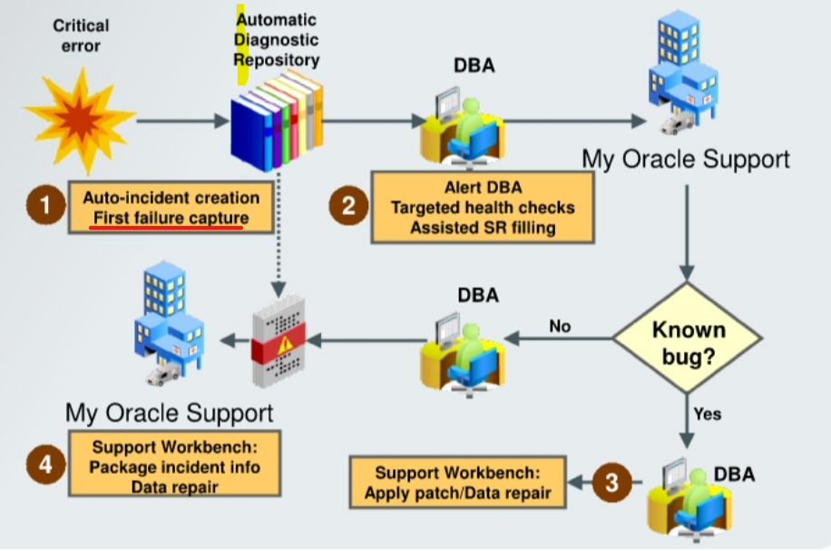 diagram_diagnostic_workflow01